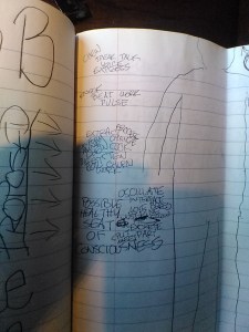 IMG_20150511_152010[1]